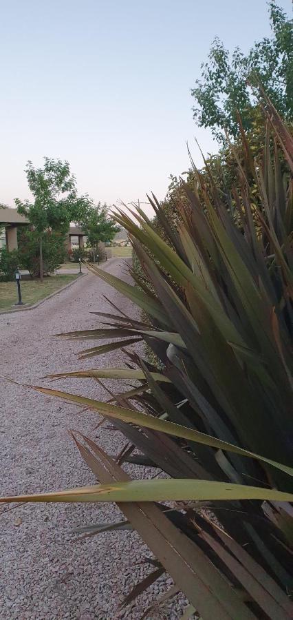 Alto San Andres Bed & Breakfast San Andres de las Sierras Luaran gambar